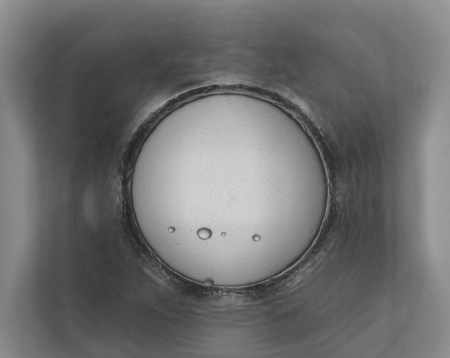 X0000110741263200906290941