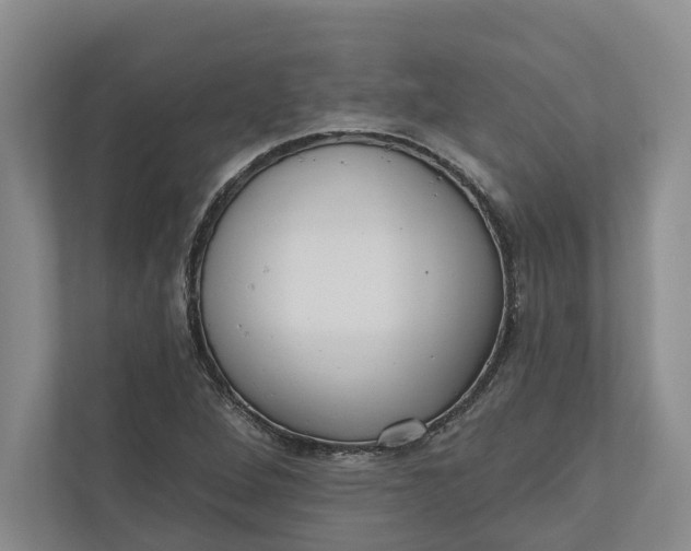 X0000110741264200906290941