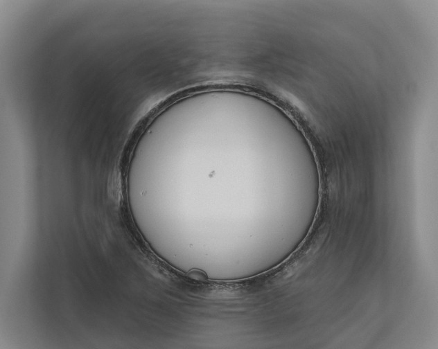 X0000110741267200906290941