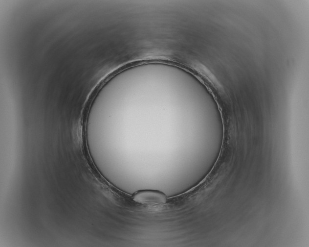 X0000110741268200906290941