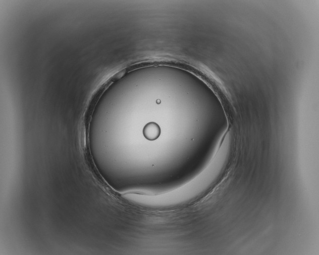 X0000110741269200906290941