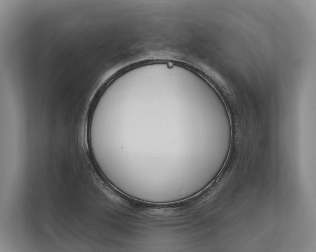 X0000110741272200906290941