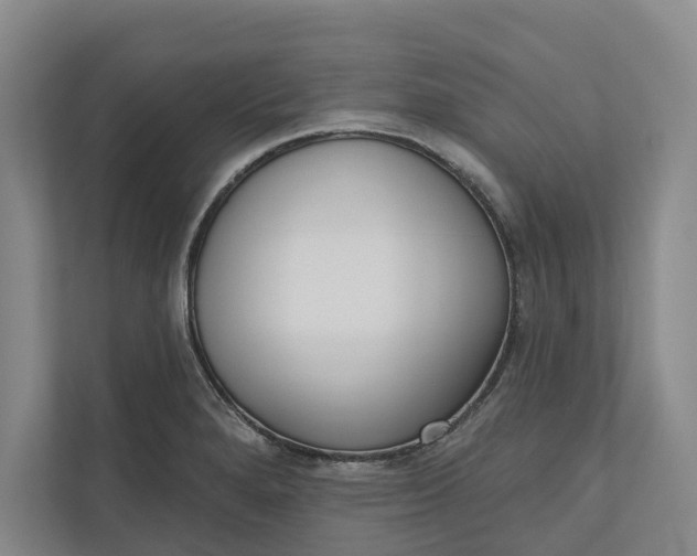 X0000110741280200906290941