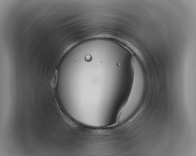 X0000110741281200906290941