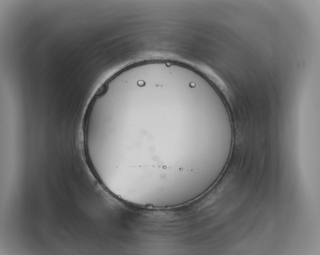 X0000110741287200906290940
