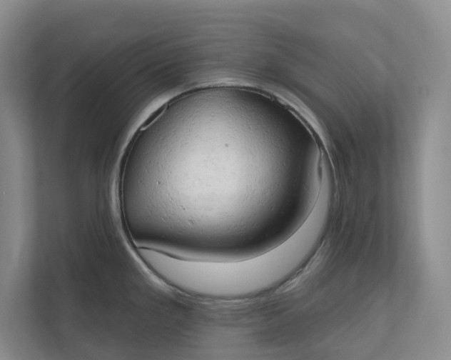 X0000110741293200906290940