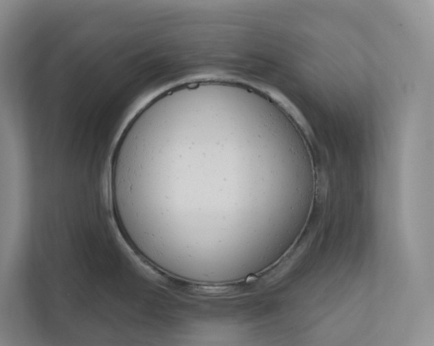 X0000110741295200906290940