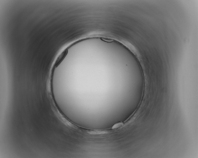 X0000110741296200906290940