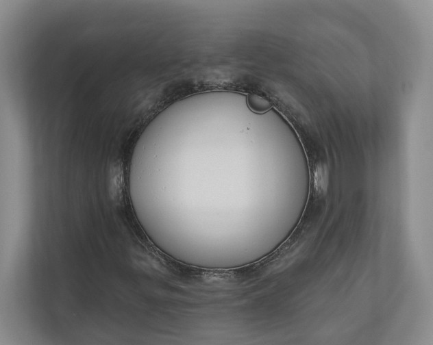 X0000110741299200906290940
