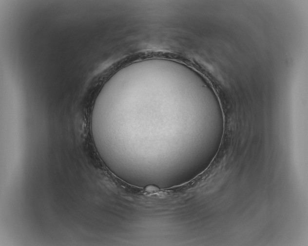 X0000110741303200906290940
