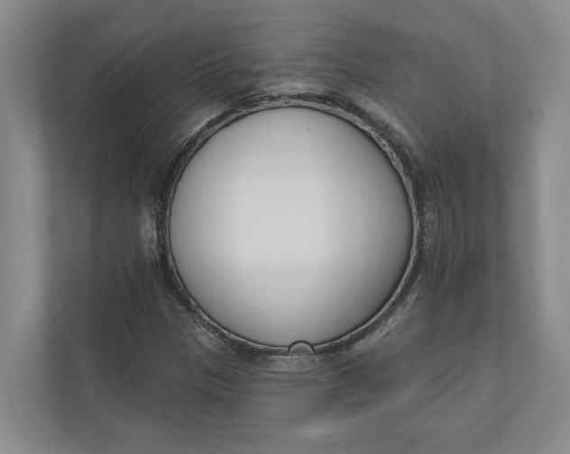 X0000110741305200906290940