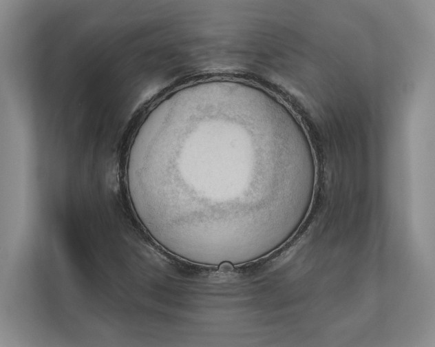 X0000110741306200906290940