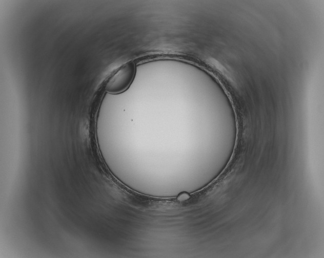 X0000110741307200906290940