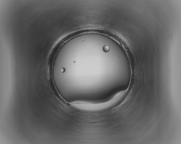 X0000110741310200906290940