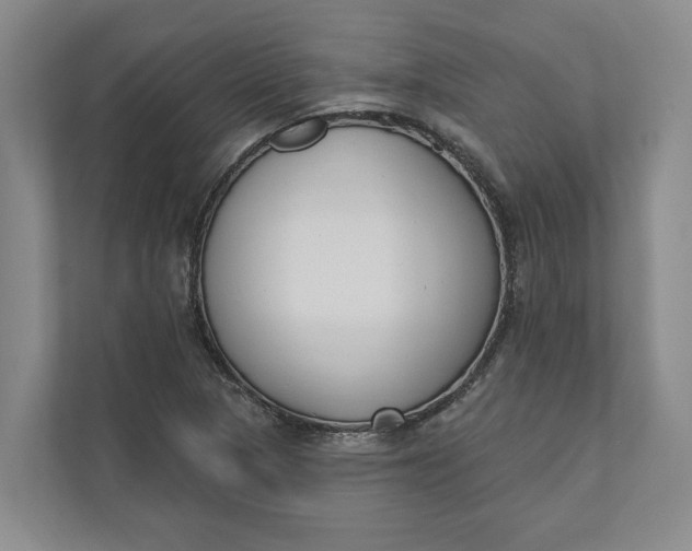 X0000110741313200906290940
