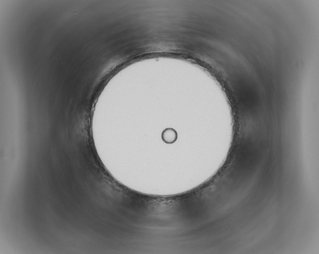 X0000110741314200906290940