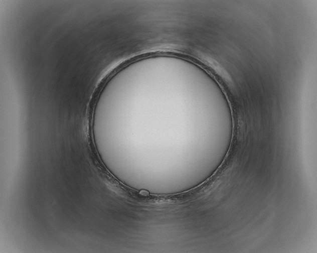 X0000110741316200906290940