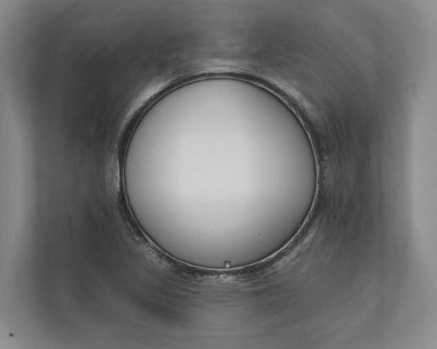 X0000110741317200906290940