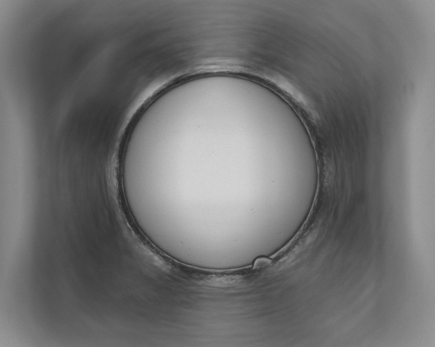 X0000110741325200906290940