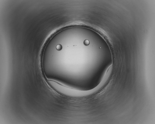 X0000110741326200906290940