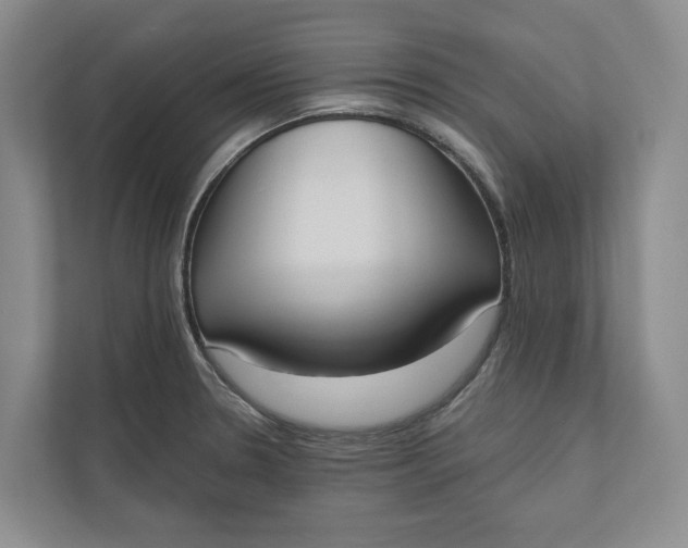 X0000110741330200906290940