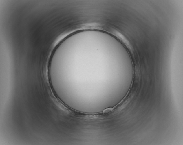 X0000110741336200906290940