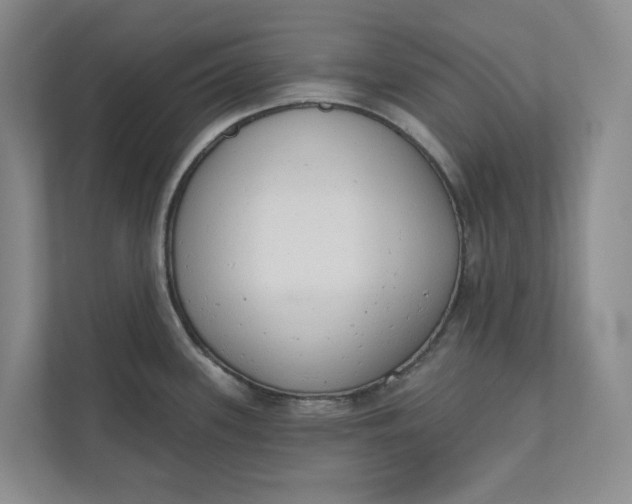 X0000110741339200906290940