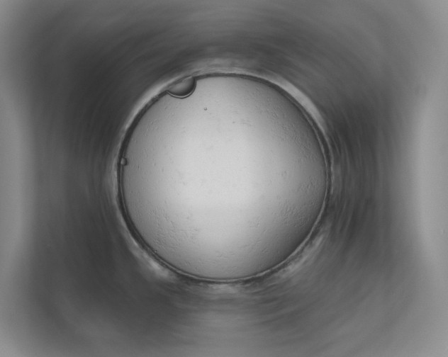 X0000110741341200906290940