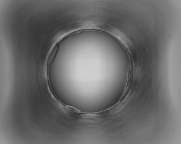X0000110741342200906290940