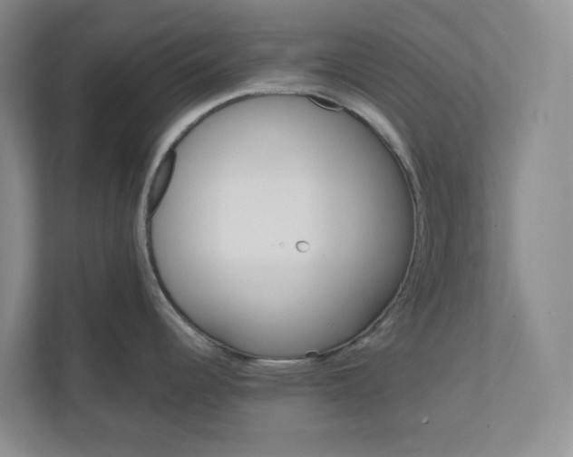 X0000110741344200906290940