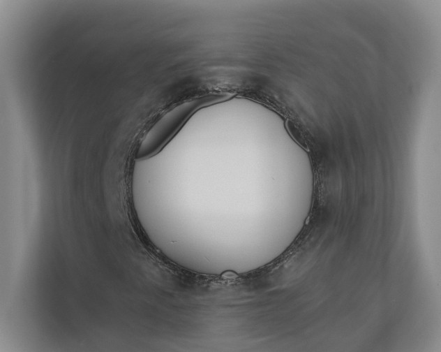 X0000110741345200906290940