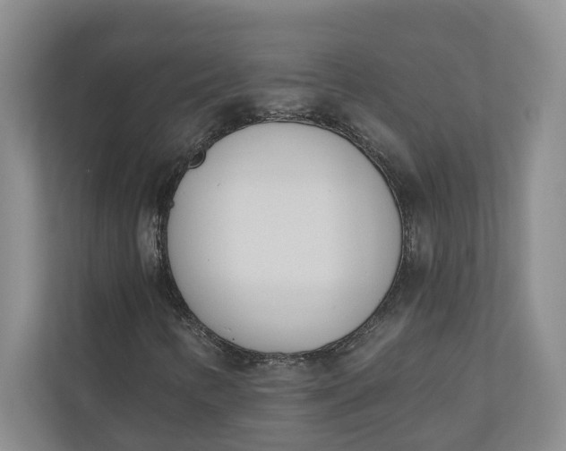 X0000110741346200906290940