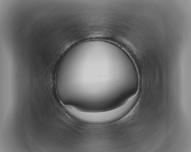 X0000110741353200906290940