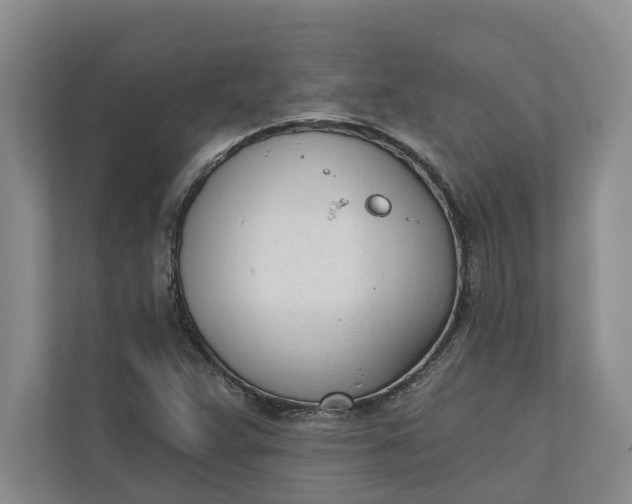 X0000110741359200906290940