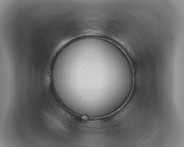 X0000110741363200906290939