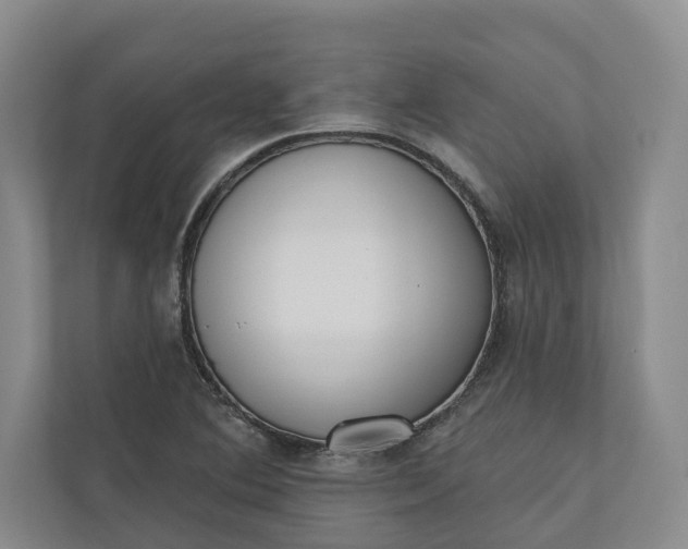 X0000110741364200906290939