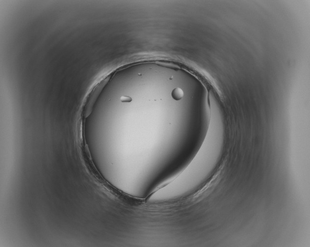 X0000110741365200906290939