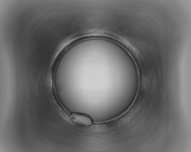 X0000110741368200906290939