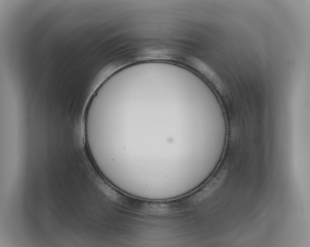 X0000110741370200906290939