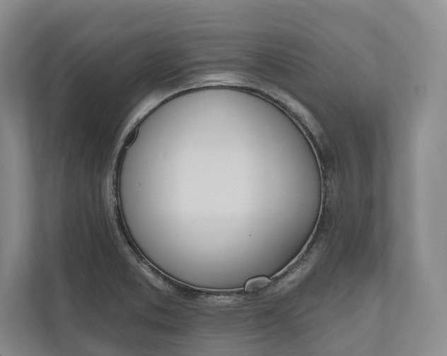 X0000110741373200906290939