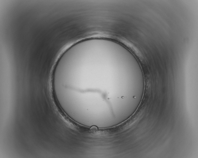 X0000110741375200906290939