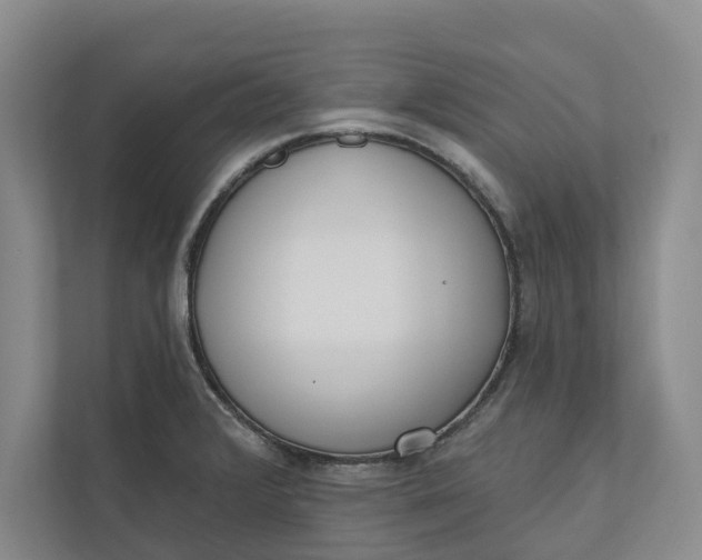 X0000110741376200906290939