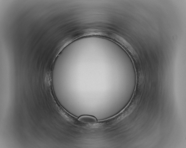 X0000110741377200906290939