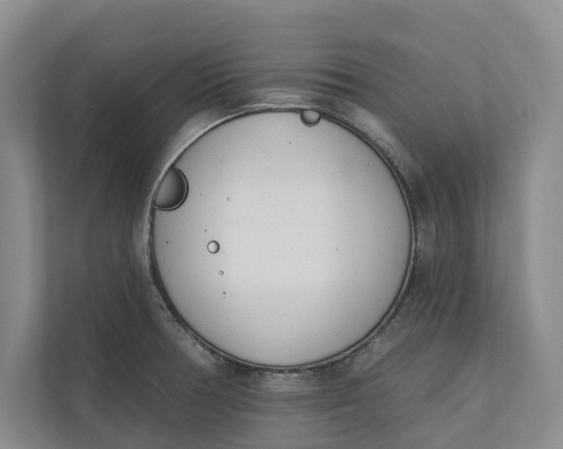 X0000110741378200906290939