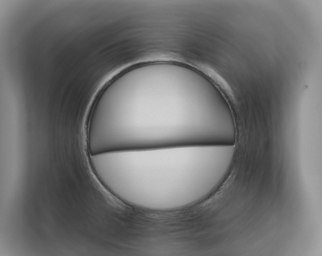 X0000110741380200906290939