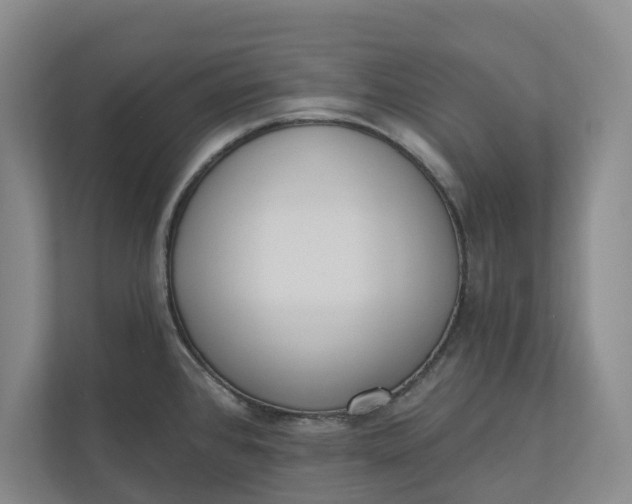 X0000110741384200906290939