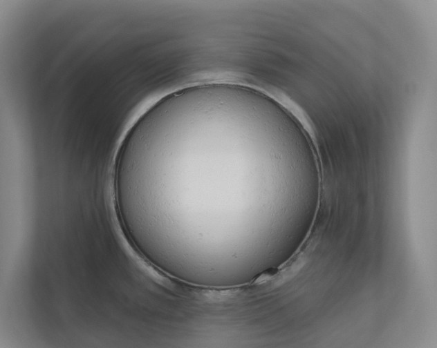 X0000110741389200906290939