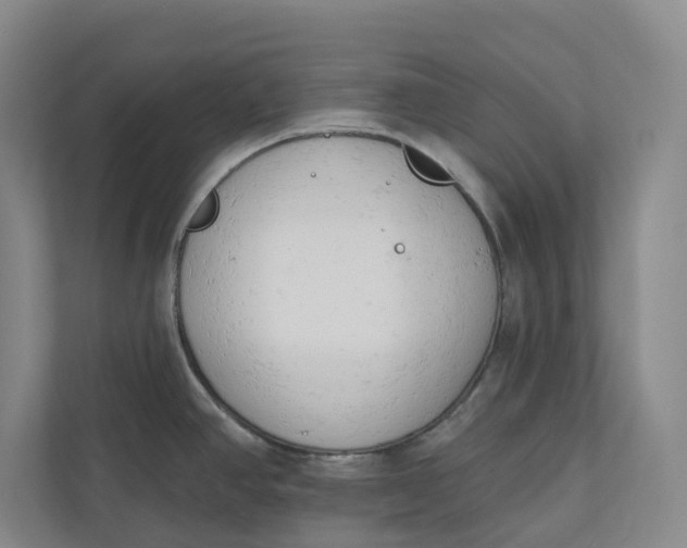 X0000110741390200906290939