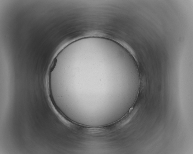 X0000110741391200906290939