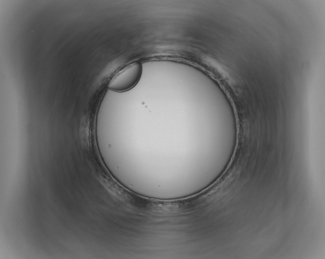 X0000110741403200906290939